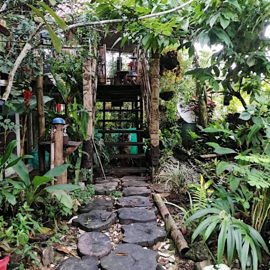 Maiku Amazonas Puerto Nariño Exterior foto
